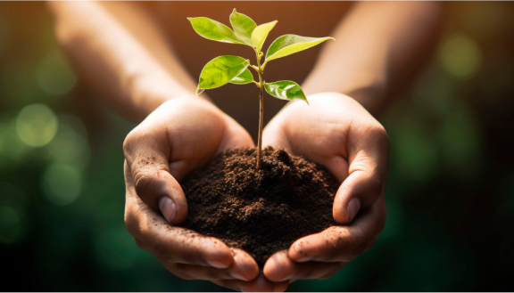 environmental-commitment